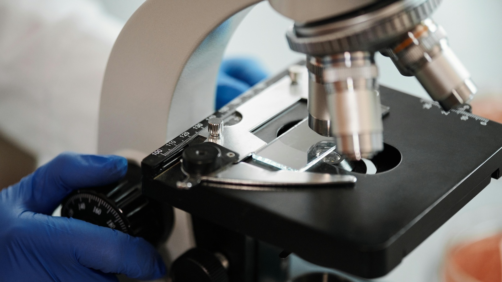 qPCR plate loading and molecular diagnostics results