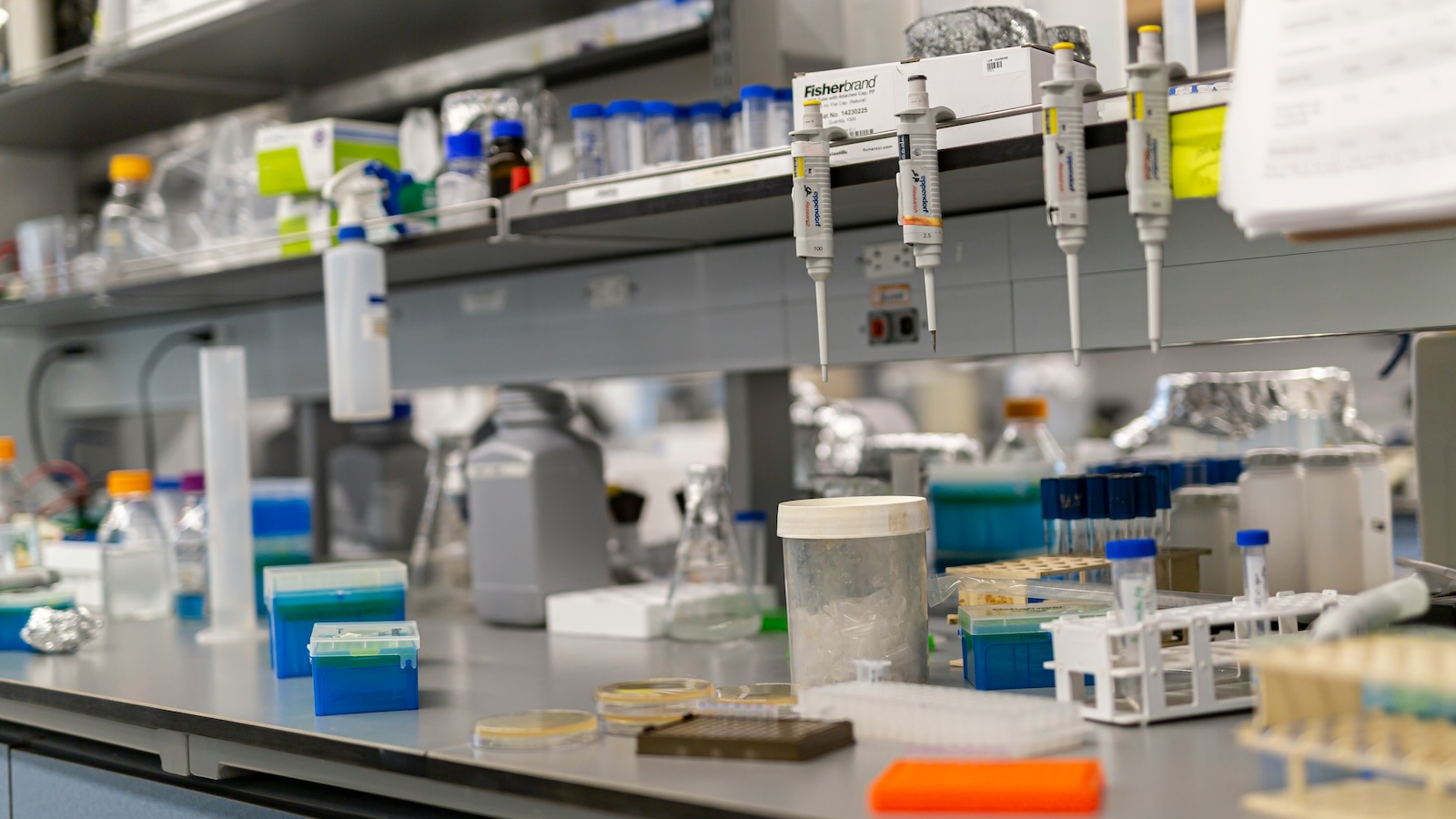 Aster Bio lab bench during qPCR setup with pipettes and tube racks