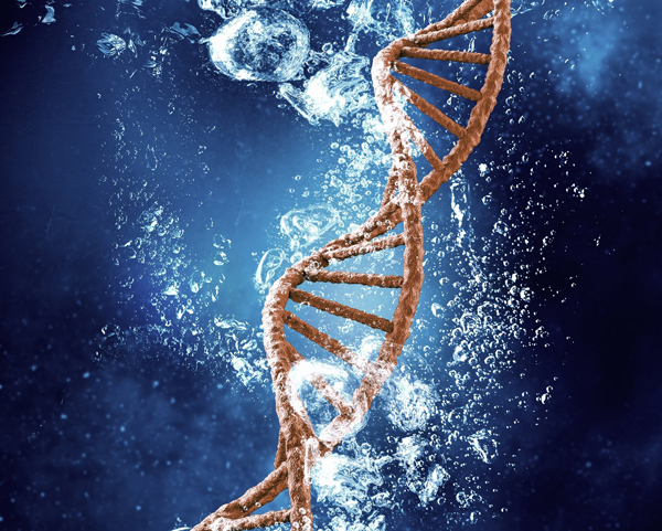 dna-water Brown DNA helix in blue water with bubbles